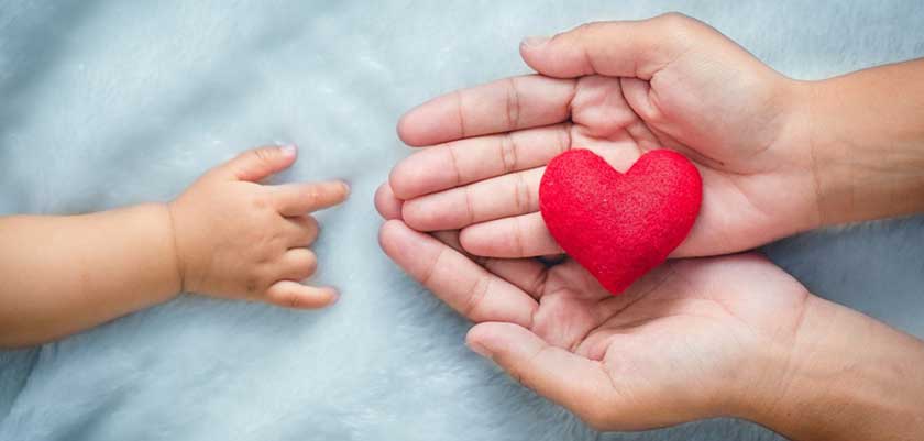 An infants hand stretched out reaching for an adults overlapped hands holding a red heart made of a felt-like material placed in the centre of the palm, with a fluffy light blue textured backdrop