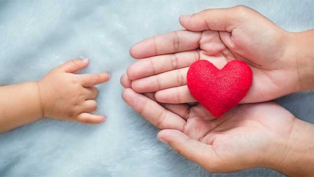 An infants hand stretched out reaching for an adults overlapped hands holding a red heart made of a felt-like material placed in the centre of the palm, with a fluffy light blue textured backdrop